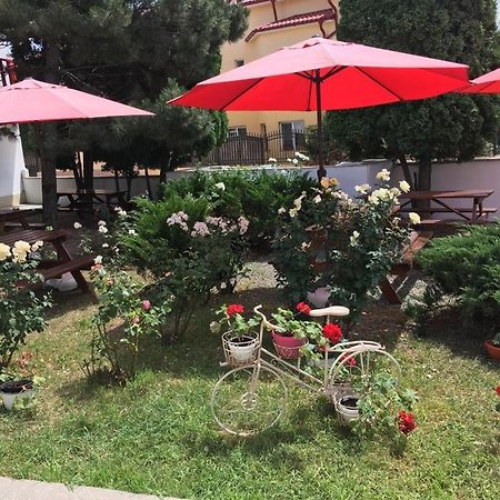 Pensiunea Acf Tineretului Hotel Costinesti Ngoại thất bức ảnh