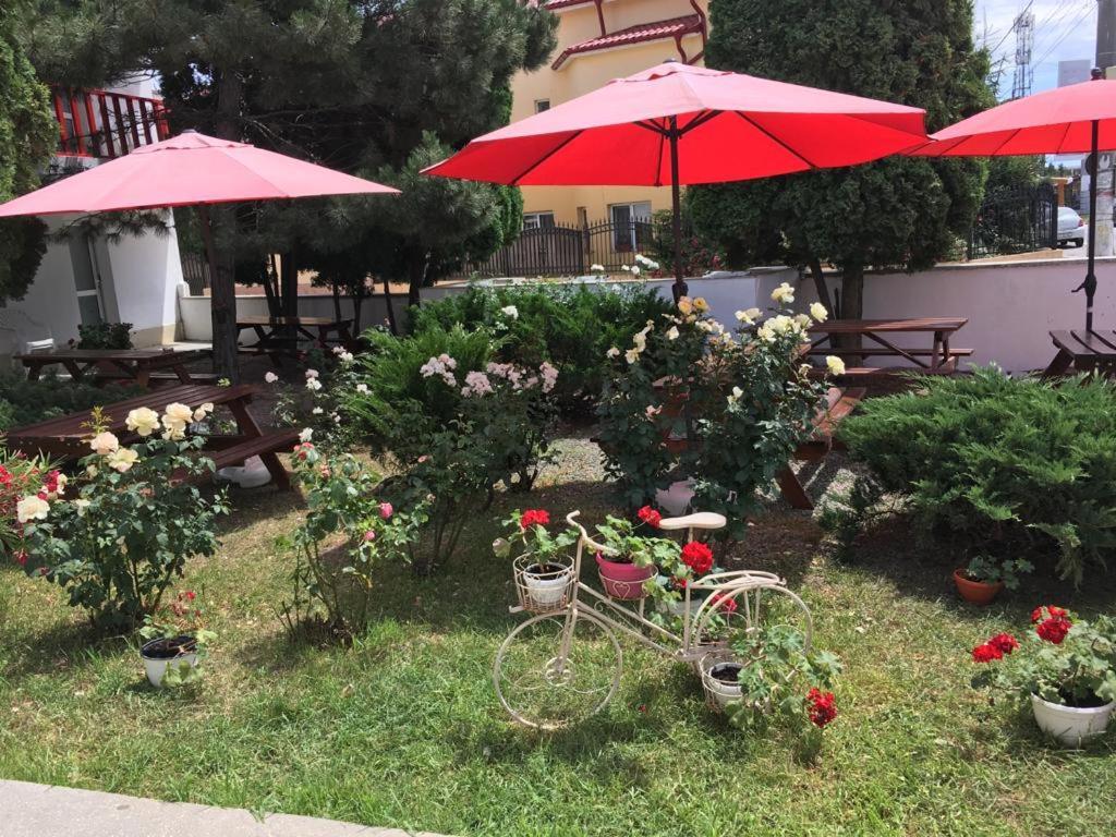 Pensiunea Acf Tineretului Hotel Costinesti Ngoại thất bức ảnh